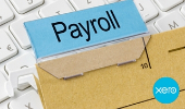 xero payroll-221 xero payroll-221